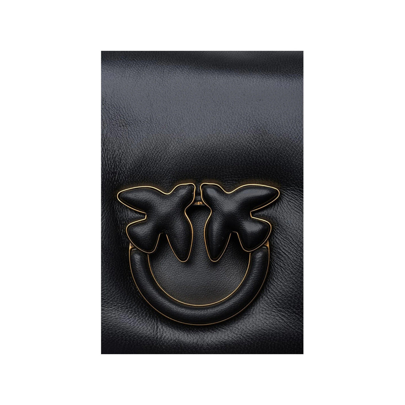 Pinko Women Bag