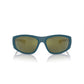 Arnette Blue Resin Sunglasses