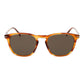 David Beckham Brown Acetate Sunglasses